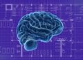 Unlocking Fluency: The Modern Language Learning Blueprint