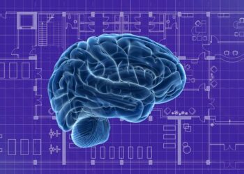 Unlocking Fluency: The Modern Language Learning Blueprint