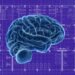 Unlocking Fluency: The Modern Language Learning Blueprint