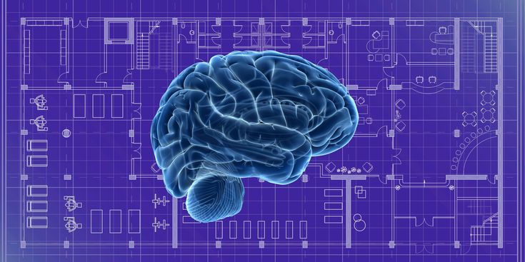 Unlocking Fluency: The Modern Language Learning Blueprint